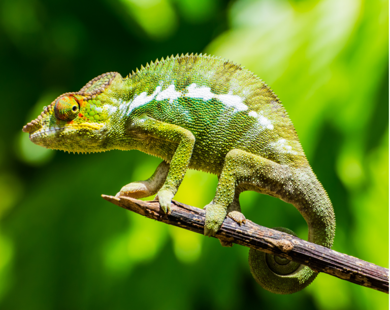 Untitled design 1 768x612